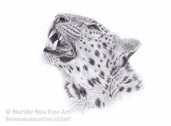 Leopard in graphite