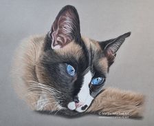 Harley in pastels  (SOLD)