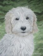 Yip in pastels  (SOLD)